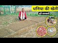 धनिया की खेती का पूरी जानकारी 🍀🔥 Dhaniya ki kheti kaise karte hain / How to cultivate coriander