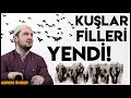 Kuşlar filleri yendi! - Fil suresi tefsiri / 18.06.2019 / Kerem Önder