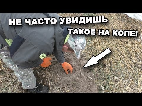 Впервые вижу такое на копе! в поисках сокровищ / in search o.