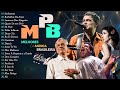 MPB Barzinho - Músicas Popular Brasileira Antigas - Skank, Fagner, Ana Carolina, Cássia Eller #t175