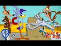 Looney Tuesdays | Coyote's Best Failed Plans | Looney Tunes | WB Kids
