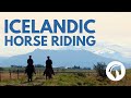Horseback Riding IN ICELAND (Equestrian Paradise)