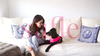 Köpek Sahiplenme, Eğitimi & Bakımı | Ece Targıt