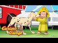 George Saves Blaze the Firedog 🐵 Curious George 🐵 Kids Cartoon 🐵 Kids Movies
