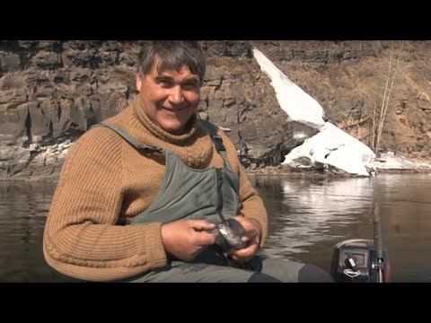 рыбалка по притокам енисея на хариуса видео рыбалка по притокам енисея на хариуса видео