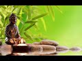 Peaceful and Relaxing Instrumental Music | Meditation music | Yoga | SV FilmFactory
