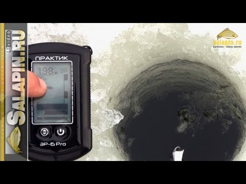 может ли эхолот показать рыбу может ли эхолот показать рыбу