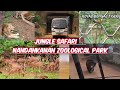 Nandankanan Zoological Park Jungle Safari By Bus| #zoo #forest #forestsafari #lion #tiger #deer