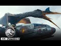 The Quetzalcoatlus Attacks Kayla Watts’ Plane in 4K HDR | Jurassic World Dominion
