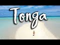 Why you HAVE TO visit Tonga! Travel Vlog