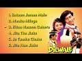 Dilwale Movie All Songs | Hindi Movie Song | Ajay Devgan, Raveena Tandon, Sunil Shetty |