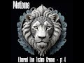 Ethereal Lion Techno Groove   pt 4