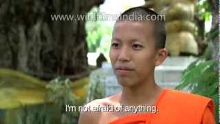 The Ladyboys of Thailand