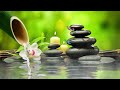 Relaxing Music for Stress Relief with Bird Sound, Relaxing Piano, Bamboo Water Fountain, Spa,  BGM