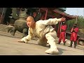 [Kung Fu Movie] 10 experts besiege a lad, but he displays unparalleled martial arts, defeating them!