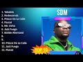 S D M 2023 MIX - TOP 10 BEST SONGS
