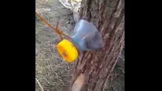 Самодельный изолятор для электропастуха Самодельный изолятор для электропастуха
