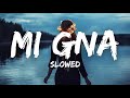 GIMS Mi Gna ft Super Sako, Hayko Slowed