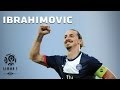 Zlatan Ibrahimovic - All 26 Goals - 2013-2014