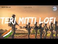 Teri Mitti Lofi Song | Kesari Lofi Song | B Praak | Sukoon Hindi Lofi