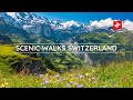 10 Scenic Hikes in Switzerland | Jungfrau | Mürren | Lauterbrunnen | Männlichen | Interlaken
