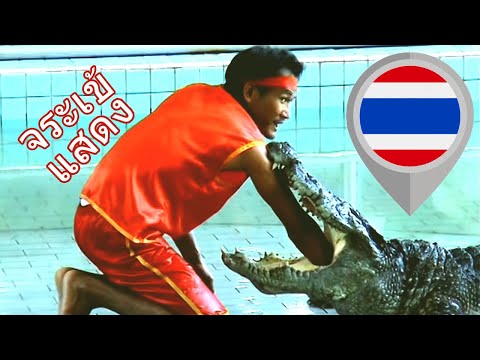 Watch Crocodile 4Shared Watch Crocodile 4Shared