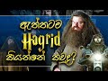 Rubeus Hagrid ගේ ජීවිත කතාව | Life of Rubeus Hagrid | Sinhala | Harry Potter