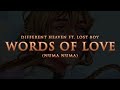 Different Heaven & Lost Boy - Words Of Love (Numa Numa)