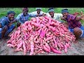 FARM FRESH SWEET POTATOES Harvesting & Cooking | Sakkaravalli Kilangu Kuzhi Paniyaram Recipe Cooking