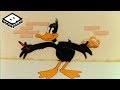 Daffy Doodles | Looney Tunes Classic | Boomerang Official