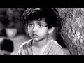 Meena Kumari, Babloo, Main Chup Rahungi, Emotional Scene 13/19