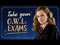 Would You Pass Your Hogwarts Exams?