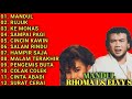 KUMPULAN LAGU DUET RHOMA IRAMA || FULL ALBUM || MANDUL - RUJUK - KE MONAS