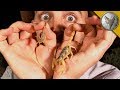 Download Which Scorpion STING is Worse?! mp4 3gp mp3 videos - waplic