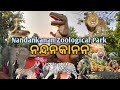 Nandankanan Zoological Park/2rd Largest Zoo of India/Kanjia Lake/Tiger&Lion Safari Tour#bhubaneswar