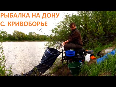 фидер на дону для начинающих фидер на дону для начинающих