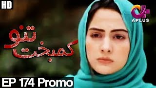 Kambakht Tanno - Episode 174 Promo | A Plus ᴴᴰ Drama | Shabbir Jaan, Tanvir Jamal, Sadaf Ashaan