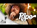 Ripe - Downward (Live Music) | Sugarshack Sessions