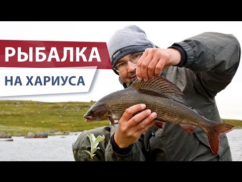 ловля хариуса на покатуху видео ловля хариуса на покатуху видео