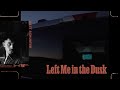 Matt Schuster - Left Me In The Dusk (Visualizer Video)