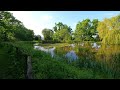 🦗Nature sounds by the pond, birdsong, birdsong, relaxation, learning, meditation🦃