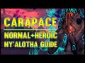 Carapace of N'Zoth Normal + Heroic Guide - FATBOSS