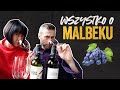 Wszystko o MALBEKU! Co to za wino? | ABC Ale Wino