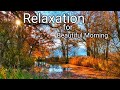 Beautiful piano relaxing music for stress Relief|Natural water falls and  Birds chirping