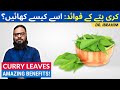 Curry Leaves Ke Fawaid | Benefits Of Curry Patta (اردو/ हिंदी) Dr. Muhammad Ibrahim