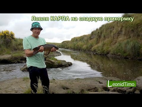 рыбалка с леонидом тимо рыбалка с леонидом тимо