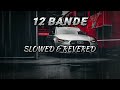 12 Bande ( SLOWED & REVERED )