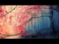 Best Of Chillstep 2012 ~ Over 3 Hours Mix!
