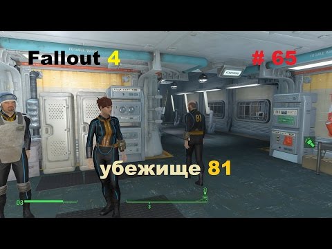 Убежище 81 где находится