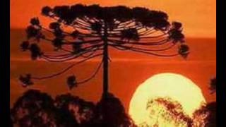 Sol de Primavera